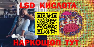 прущие крисы Краснознаменск