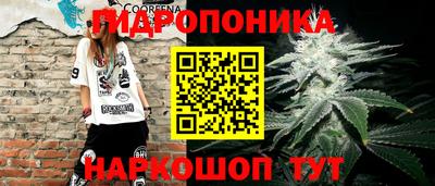 прущие крисы Краснокаменск