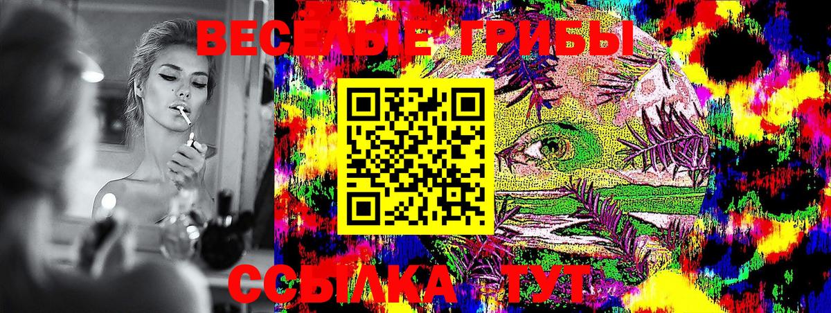 Псилоцибиновые грибы GOLDEN TEACHER Ижевск